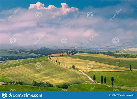 Majestic Foggy Rural Scenery With Grain Fields In Tuscany Italy Stock