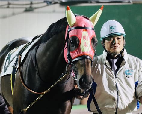 船橋ケイバ On Twitter 船橋10r ヒヤシンススプリント💡 メンタイマヨ が登場🐎 とっても可愛いメンコにご注目っ👀‼️