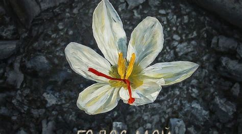 Российские исполнители записали трибьют-альбом с песнями Муслима ...