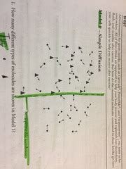 Membrane Structure And Function POGIL Answer Key Quizzes Studymoose