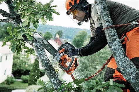 Choosing the right chainsaw – Husqvarna Chainsaw Academy