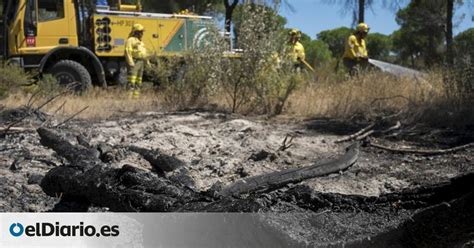 El 80 Del Incendio Forestal De Moguer Ha Sido Dentro Del Parque