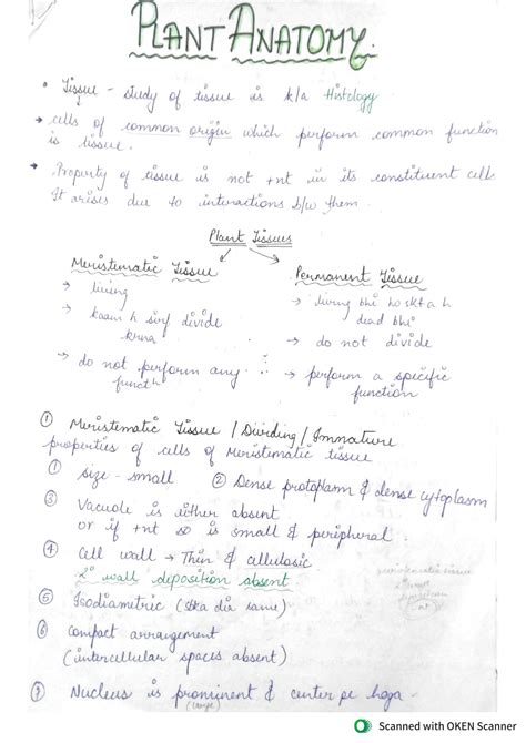 Solution Plant Anatomy Notes Class 11 Neet Studypool