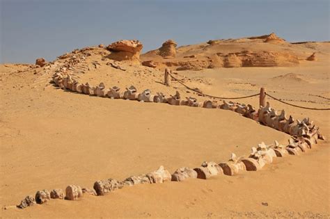 Egitto Wadi Al Hitan La Valle Delle Balene Patrimoni Dell Umanit