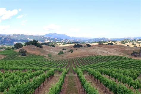 Gallery Jordan Winery Alexander Valley View From Vista Point Mt St