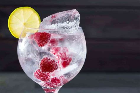 Cómo Preparar El Gin Tonic Perfecto