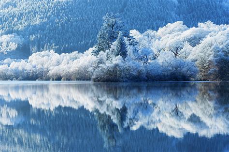 Winter Reflections Photograph By Northlightimages Fine Art America