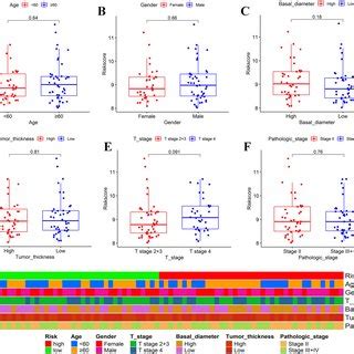 Correlation Analysis Of The Risk Score With Clinicopathological