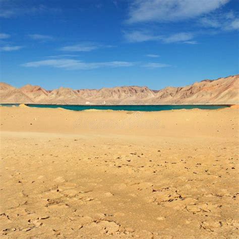 Large Sandy Bright Dunes Of The Desert With An Oasis Under The Hot Rays