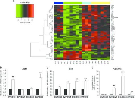 Influence Of Gabarap Ablation On The Gene Expression Profile Of Mammary