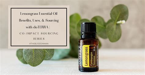 Lemongrass Essential Oil Benefits Uses And Sourcing With Doterra Co Impact Sourcing Series