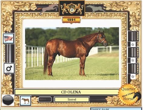 My Passion For The Horses Cd Olena ♘ 1991 ♞ © Sorrel Usa Quarterhorse