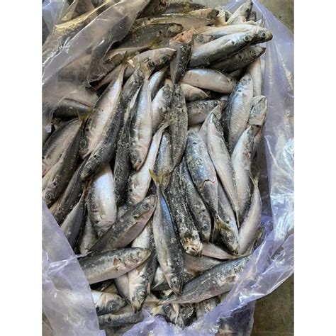 Jual Ikan Klotok Ikan Layang Kering 1kg Shopee Indonesia