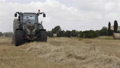 Bambino Muore Soffocato Dal Grano Della Mietitrebbia A L E S S A N