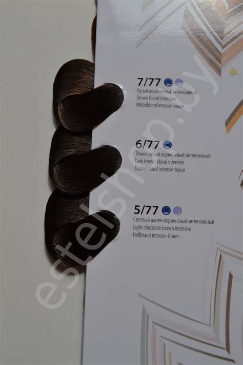 Эстель 6 11 Фото На Волосах – Telegraph