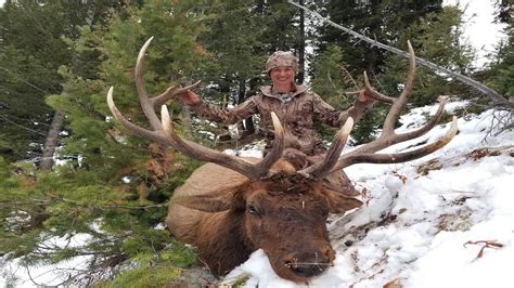 Idaho Rifle Elk Hunt 12 Miles Deep On Public Land Youtube