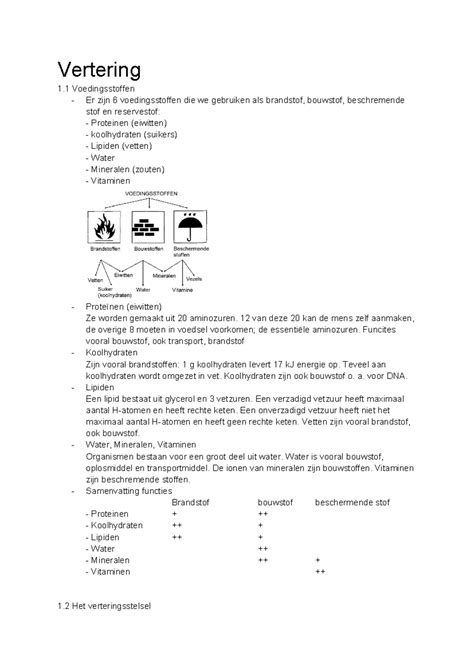 Biologie Thema Vertering Vertering Voedingsstoffen Er Zijn