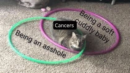 Some memes from a cancer sun taurus moon : r/astrotrash