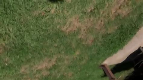 Big Ass Good Pussy Ebony XNXX