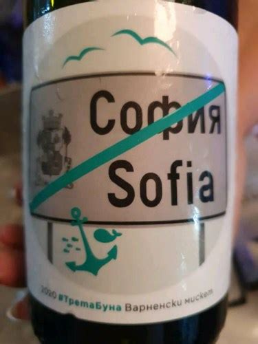 Lozeto Софиа Третабуна Варненски Мискет (Sofia) | Vivino US