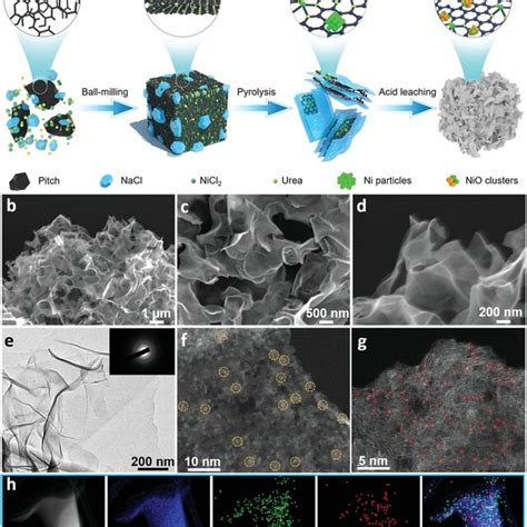 A Schematic Diagram Of The Synthesis Process For Nio Ninc B D Sem Download Scientific