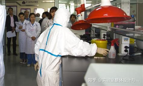 安徽二级生物安全实验室个人防护基本要求 知乎