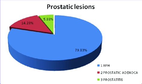 Pie Chart Showing Percentage Of Bph Prostatic Adenocarcinoma And