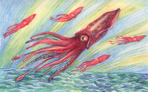 Image - Flying-squid.jpg - New Cryptozoology Wiki