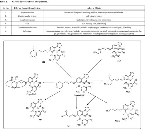 Chemical Structures Of Copanlisib And Its Metabolites Identified In Download Scientific Diagram