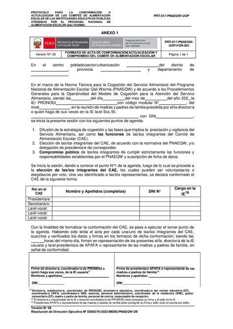 Formato Cae Informaci N Protocolo Para La Conformaci N O