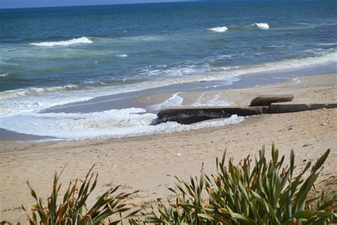 Land Divided, Coast United | Hakai Magazine