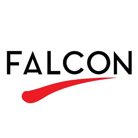 falcon incorporation pte  singapore singapore