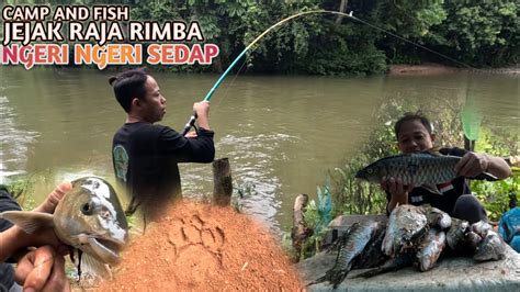 Strike Ikan Mahseer Saat Camping Dihulu Sungai Dihadang Oleh Jejak Sang