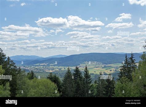 Panoramablick Vom Skywalk Eck Arrach Bayerischer Wald Bayern