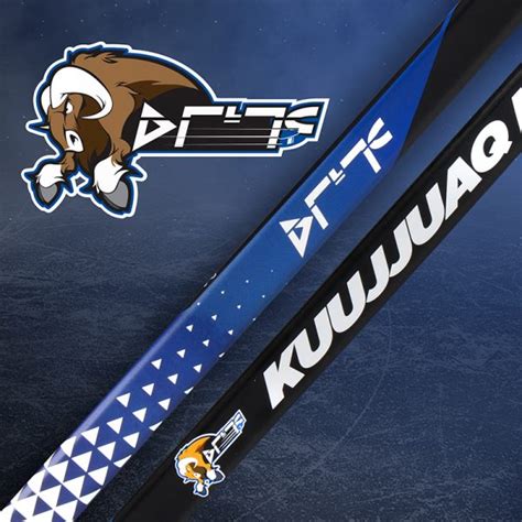 Custom Hockey Sticks | Custom Hockey Stick Graphics