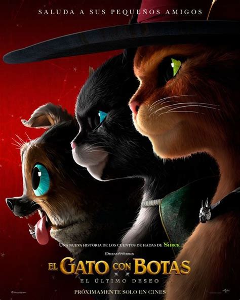 Cartel de la película El Gato con Botas El último deseo Foto 36 por