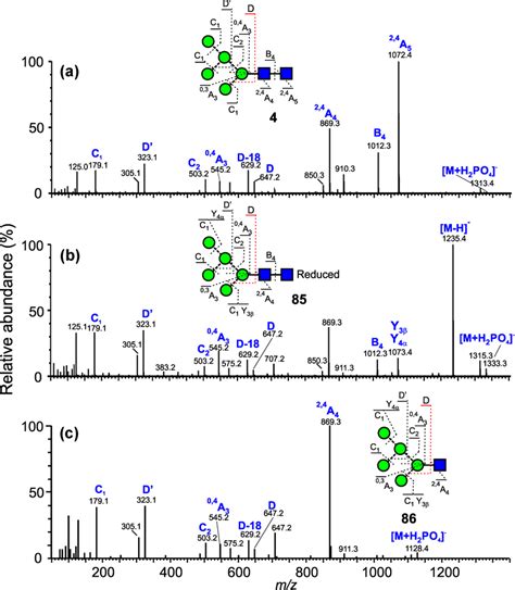 Negative Ion Collisioninduced Dissociation Cid Spectra Of A