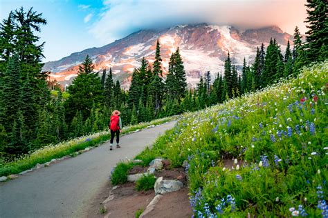 Epic Wildflower Hikes At Mt Rainier National Park Photos