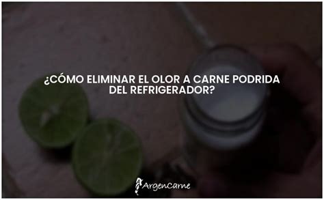 Elimina El Olor A Carne Podrida Del Refrigerador De Forma Fácil Y