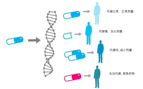 药物基因检测知多少？