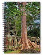 Large Ta Prohm Trees Cambodia Photograph by Chuck Kuhn - Fine Art America