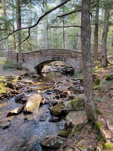 2023 Best Snowshoeing Trails in Acadia National Park | AllTrails