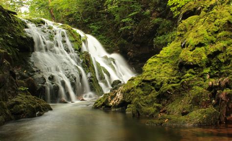 Fotos Gratis Paisaje Naturaleza Bosque Rock Cascada Arroyo R O