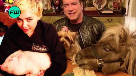 15 Celebrities Who Keep Genuinely Weird Pets