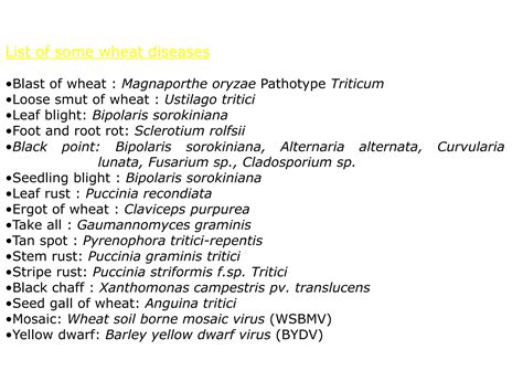 Wheat Diseases Ppt