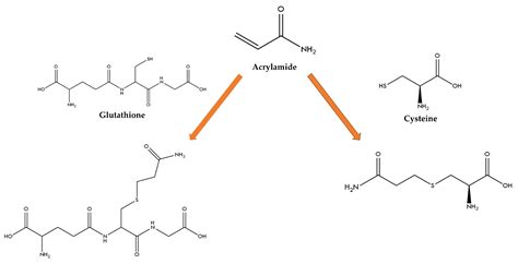 A Dft Study Of The Reaction Of Acrylamide With L Cysteine And L Glutathione