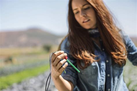 L Agricoltura Secondo Microsoft IoT E Intelligenza Artificiale