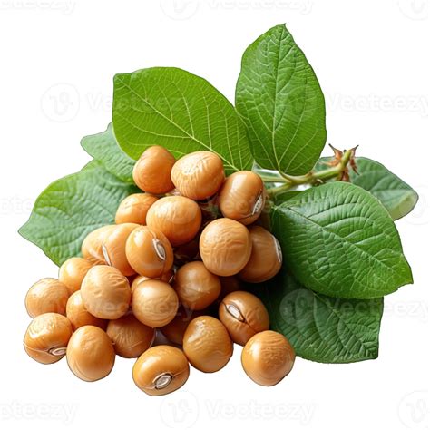 Ai Generated Soybeans Isolated On Transparent Background Generative Ai