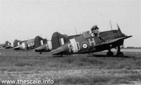 67 Squadron Buffalos Burma Brewster Buffalo Navy Aircraft Fighter