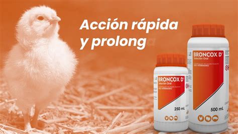 Medicamentos para pollos de engorde Qué debes saber Todo Engorda